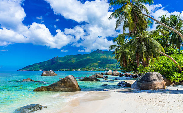 pnj-supplies-seychelles-about-img